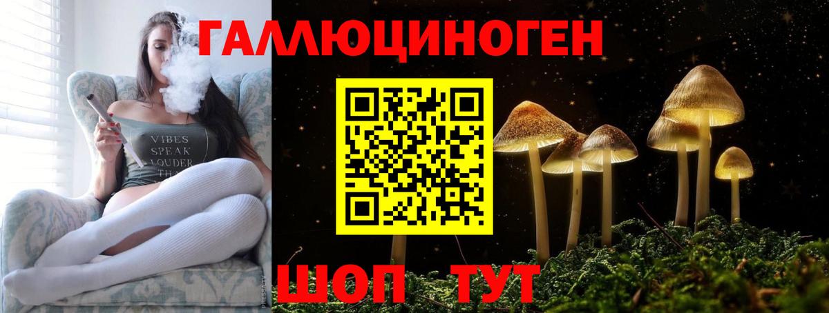 Курчатов  где купить наркоту  Вход с VPN  Псилоцибиновые грибы Psilocybe 