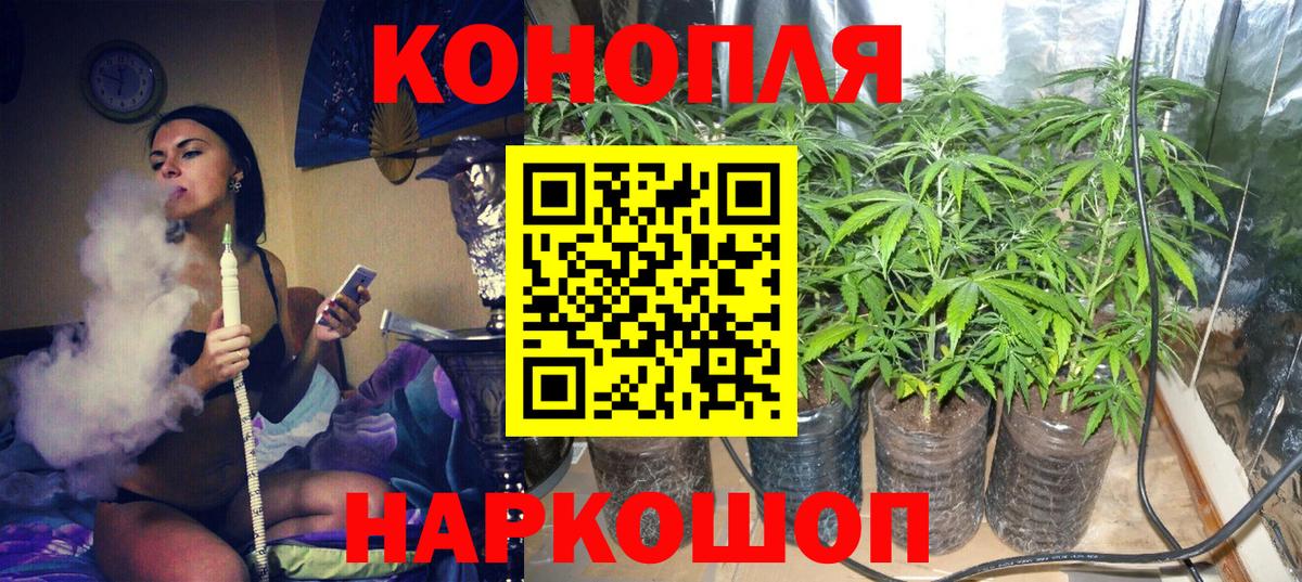 Курчатов  Канабис VHQ  Канабис MAZAR  Шишки марихуана гибрид  Бошки Шишки Amnesia  Вход с VPN 
